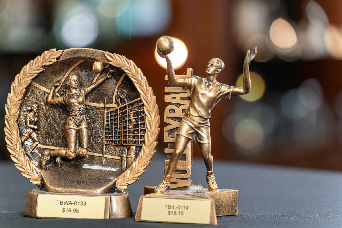 Volleyball Awards, personalized by Global Recognition