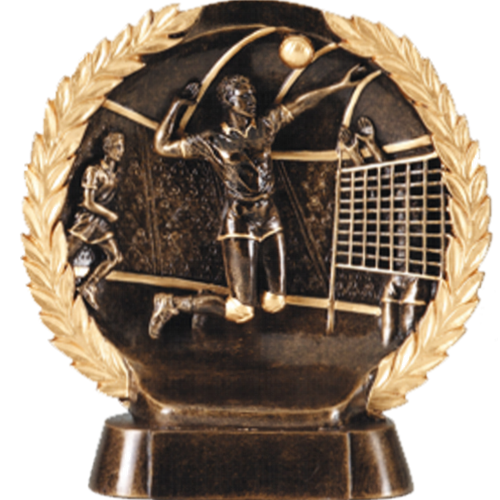 BronzeStone Wreath Awards, Volleyball - Male