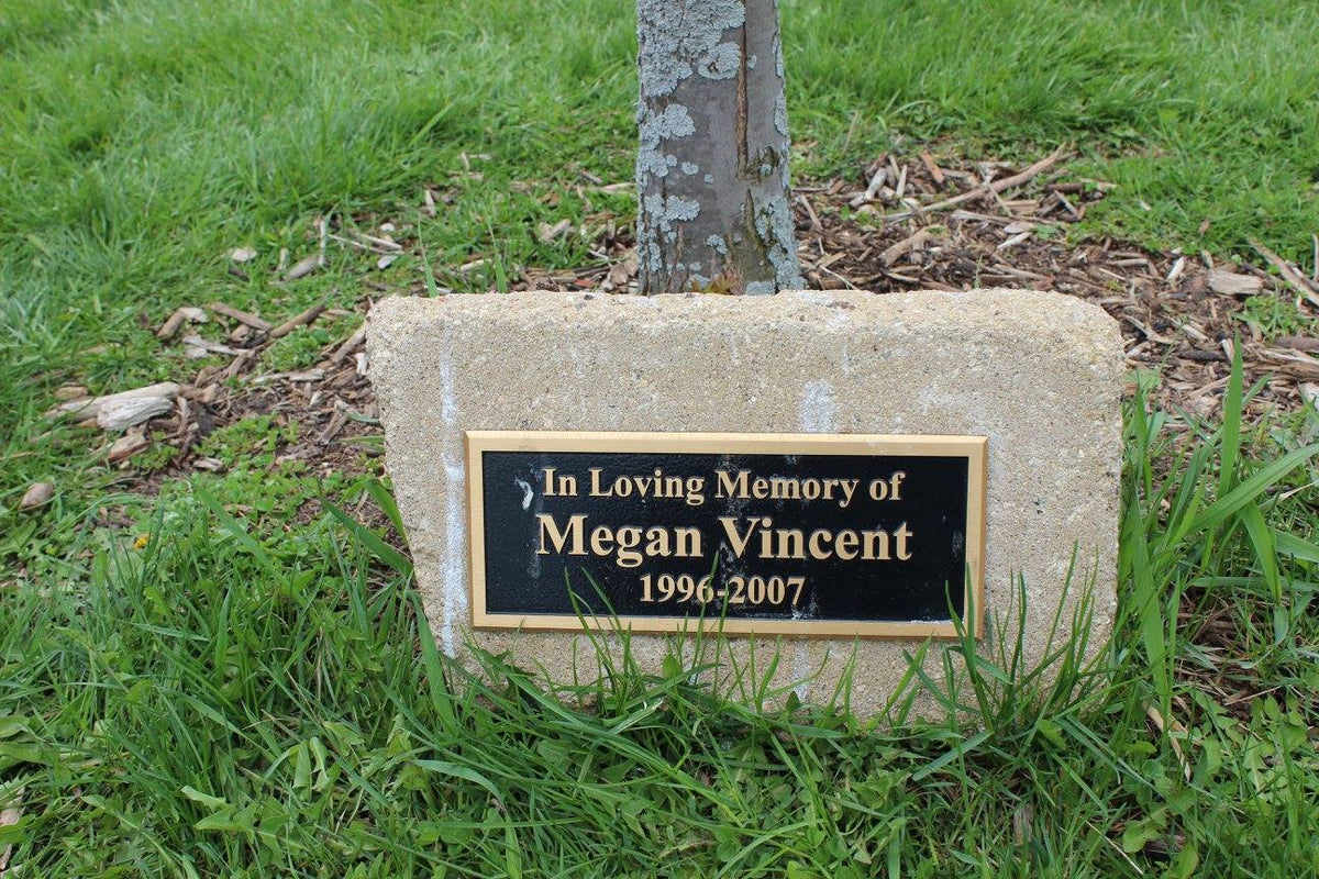 Megan Bronze Plaque_13130937_10156874480045300_4052029603000821916_o.jpg__PID:728bfcc7-3035-4da7-b79e-bd66e1caea71