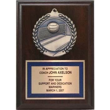 Value Line Medallion Plaque, Volleyball