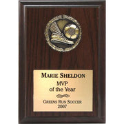 Three Dimensional Medallion Plaques | Global Recognition Inc