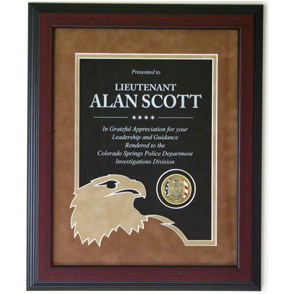 custom framed award with eagle mats