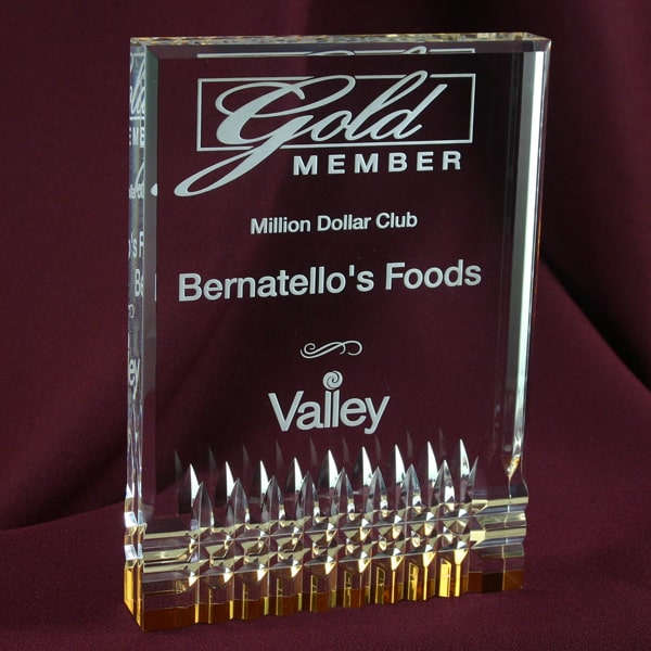 laser engraved lucite award