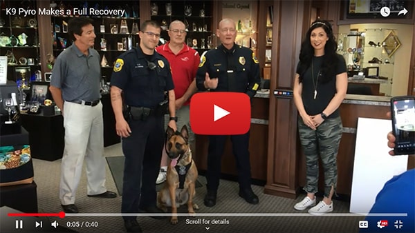 K9 Pyro Returns to Full Duty