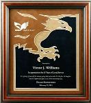 Eagle Mats Framed Award, Item# GFR-00023