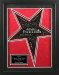 Framed Award w/Star Mats. Item# GFR-00031