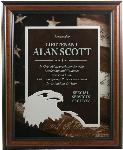 Framed Award -Eagle with Sepia Tone. Item# GFR-00072